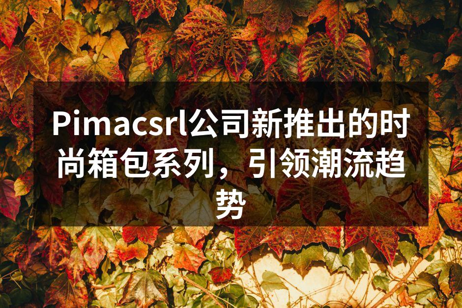 Pimacsrl新款箱包系列发布会现场